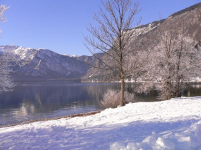 Apartment Cesar Bohinjska Bistrica